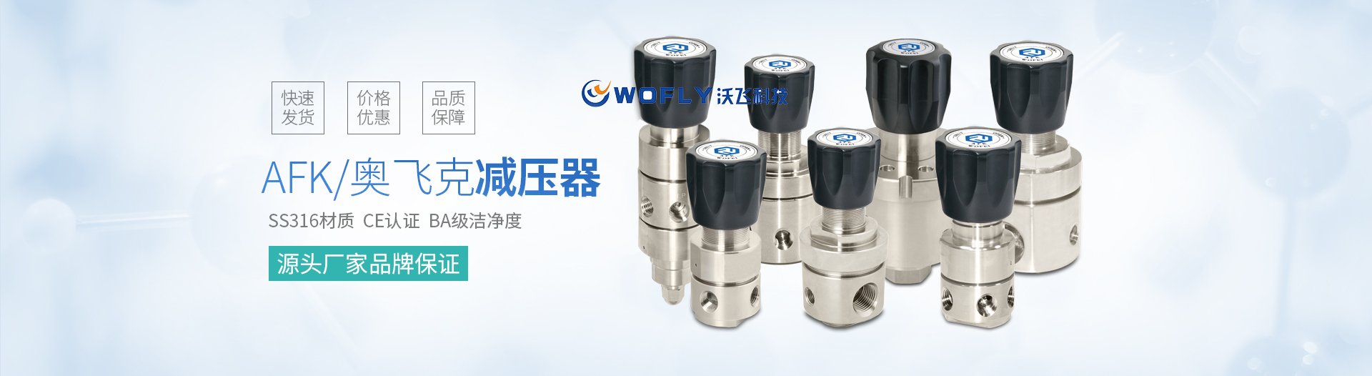 不锈钢减压器