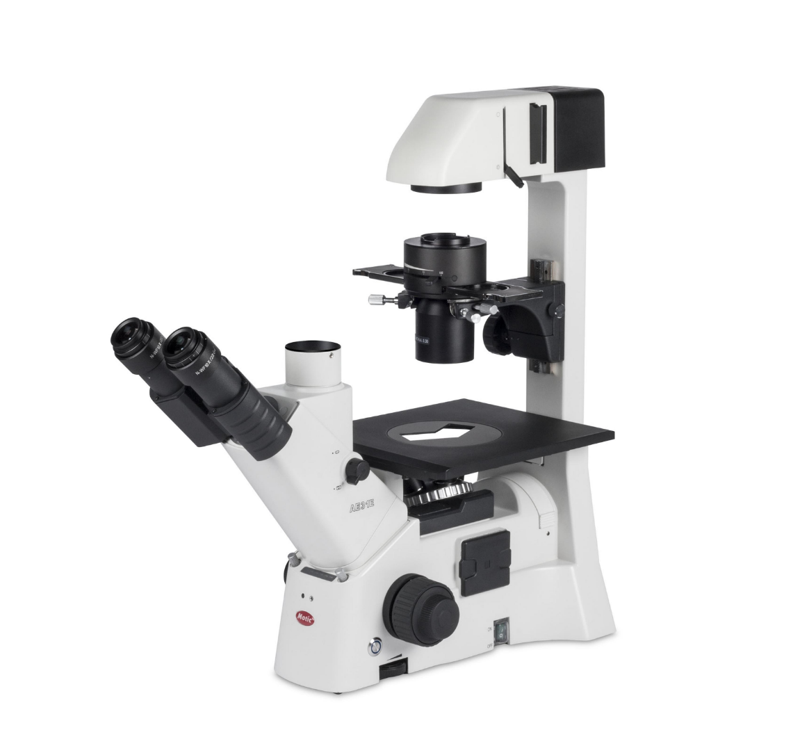 生物倒置生物AE31E